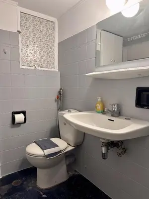 a bathroom with a toilet and a sink at Ionos Dragoumi 34 Athens Comfy Studio in Athens
