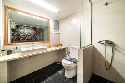 a bathroom with a toilet and a sink and a shower at The Faliro Oasis in Athens