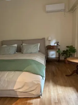 a bedroom with a bed and a table with a plant at Cozy apartment National Museum in Athens