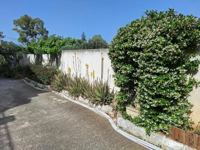 a large green bush next to a wall with plants at Vacation Villa 5 bedrooms in Paianía