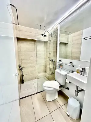a bathroom with a shower and a toilet and a sink at Le Petit II Apartment in Athens