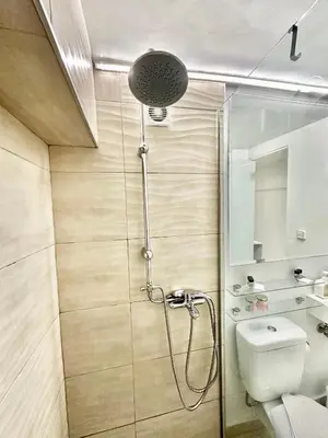 a bathroom with a shower and a toilet at Le Petit II Apartment in Athens