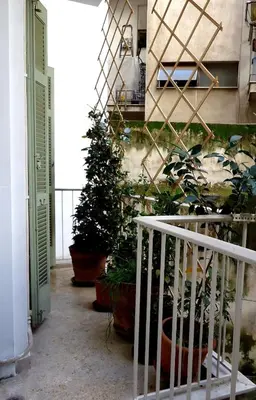 a group of potted plants sitting next to a staircase at super central-metro Acropolis in Athens