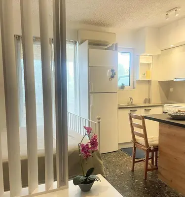 a kitchen with a refrigerator and a table with a flower at lemonsky apartment in Palaiá Fókaia