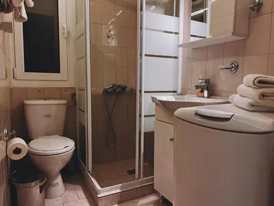 a bathroom with a toilet and a shower and a sink at Budget and private flat in Aristotelous in Athens