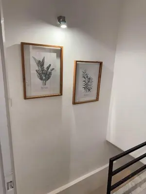 two framed pictures of plants on a wall at Cozy Seaside Stay Renovated & Peaceful in Porto Rafti