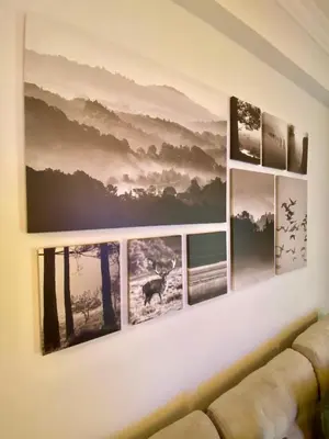 a group of photographs on a living room wall at New Delightful Apartment in Athens