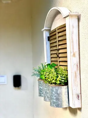 a window with two potted plants on a wall at Glyfada SEASIDE South Athens Philoxenia In Athens in Athens