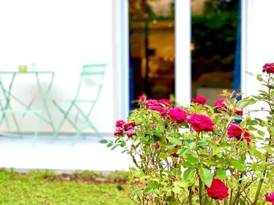 a bush of red flowers in front of a house at Glyfada SEASIDE South Athens Philoxenia In Athens in Athens