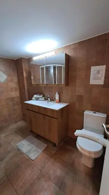 a bathroom with a sink and a toilet in it at Athens Riviera Bee Home Appartments in Athens