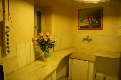 a bathroom with a vase of flowers on a counter at \u7ef4\u591a\u5229\u4e9a\u516c\u5bd3 in Athens