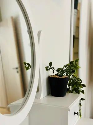 a plant sitting on a dresser next to a mirror at Modern Bohemian Suites - GVM in Athens