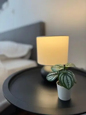 a table with a lamp and a potted plant on it at To Kyma Apartment Athens South in Athens