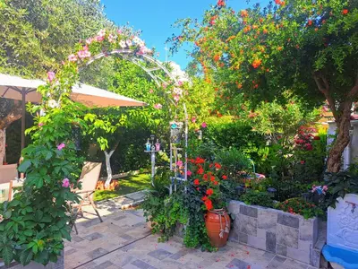a garden with a bunch of flowers and an arch at Green Dome Escape in Athens