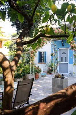 a chair under a tree in front of a building at Green Dome Escape in Athens