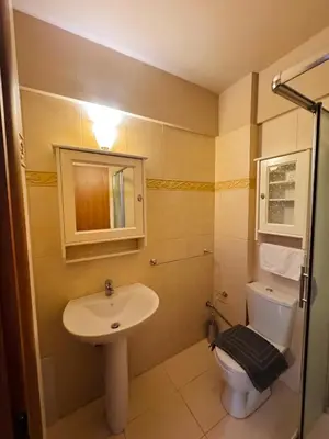 a bathroom with a sink and a toilet and a mirror at Βένερε in Athens