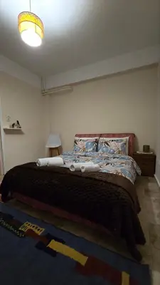 a bedroom with a large bed in a room at ATHENS O'GERA escape in Athens