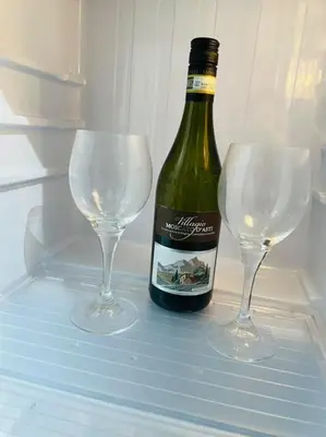 a bottle of wine and two wine glasses in a refrigerator at Private hottub Athens Skythens omonoia in Athens