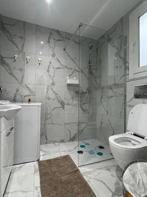 a bathroom with a shower and a toilet at Cecilia's cozy apartment in Athens