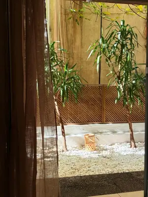 a pair of trees in a room with a curtain at In the heart of Athens in Athens
