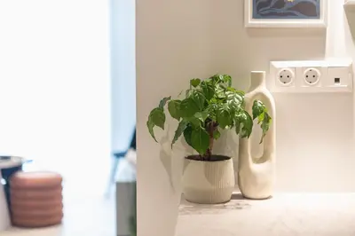 a plant in a pot next to two vases at Exclusive Suite by CloudKeys in Athens