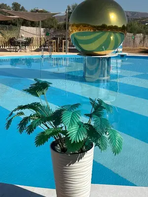 a plant in a pot next to a swimming pool at Seven stars Camping Evelina in Keratea