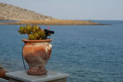 a vase with a plant in it next to the water at Seven stars Camping Evelina in Keratea