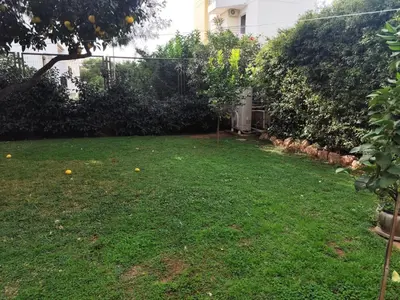 a yard with an orange tree and a fence at Cleo's Garden House in Athens