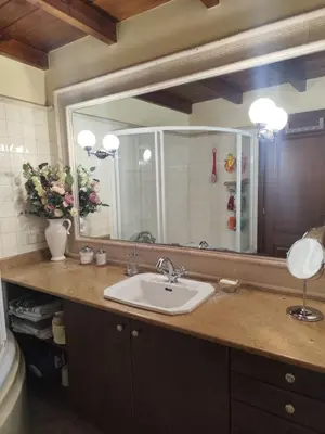 a bathroom with a sink and a large mirror at Cleo's Garden House in Athens