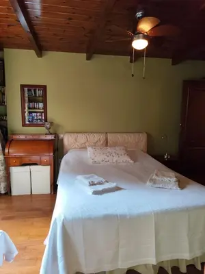a bedroom with a white bed with a ceiling at Cleo's Garden House in Athens