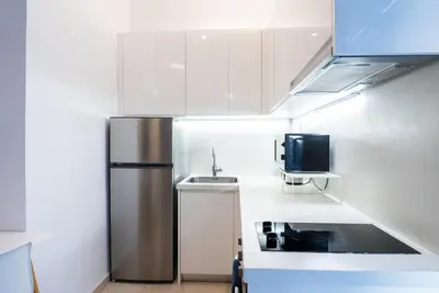 a kitchen with a stainless steel refrigerator and a sink at Athens! Didems Hideaway! in Athens
