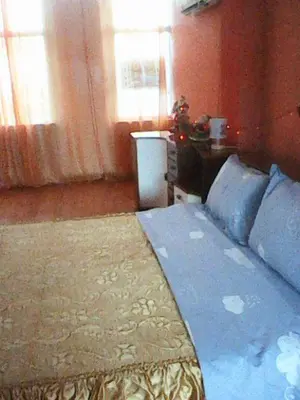 a bedroom with a blue bed and two windows at Duffy Duck apartment athens in Athens