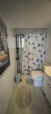 a bathroom with a toilet and a shower curtain at Luxury 2bdr apartment with sea view and 50m from the beach in Porto Rafti