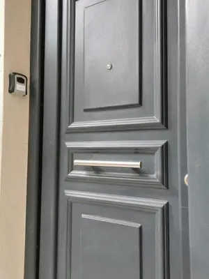 a grey door with a silver handle on it at Emily's house in Athens