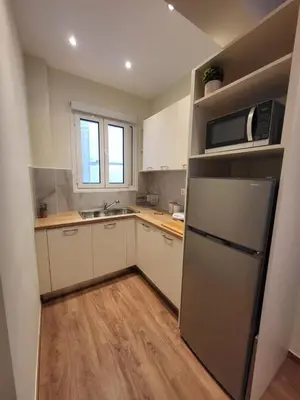 a kitchen with a stainless steel refrigerator and a sink at 2 bd renovated flat at acropolis in Athens