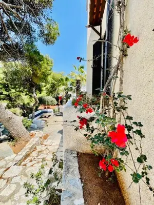 a window with red flowers on the side of a building at Villa Pharaoh Private Pool Near the Beach in Porto Rafti