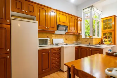 a kitchen with wooden cabinets and a white refrigerator at Neos kosmos Filimon in Athens