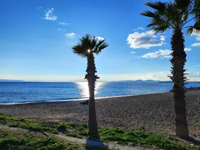 two palm trees on a sandy beach near the ocean at Comfy and calm apartment near the beach in Athens
