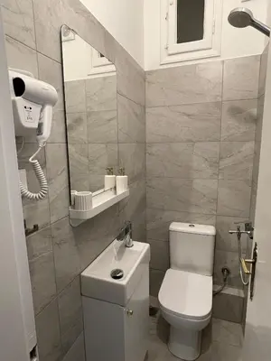 a bathroom with a white toilet and a mirror at Athens Koukaki Penthouse, Acropolis view in Athens