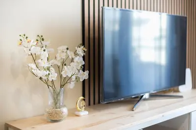 a vase of flowers on a table next to a tv at Casa Ilioupoli in Athens