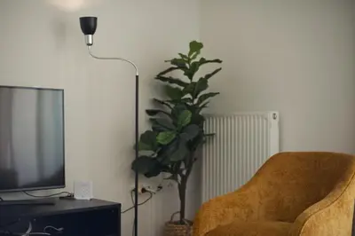 a living room with a chair and a potted plant at Oasis Neos Kosmos Modern Apt near Acropolis in Athens