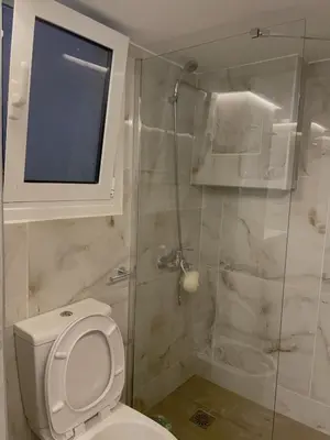 a bathroom with a toilet and a shower with a window at Bluebay Cozy Aparment 8 in Athens