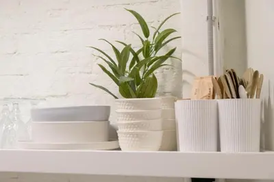 a white shelf with plates and a plant on it at 3Bed Loft 500m from Monastiraki Sq in Athens