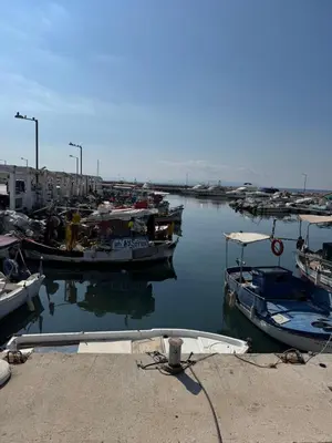 a group of boats are docked in a harbor at Glyfada Gorgeous Penthouse in Athens