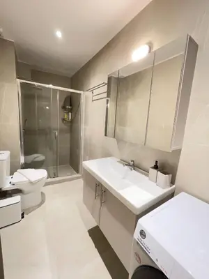 a bathroom with a sink and a toilet and a shower at Bluebay Acropolis view comfort apartment 8 in Athens
