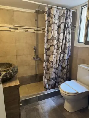 a bathroom with a stone shower curtain and a toilet at Cozy faliro in Piraeus