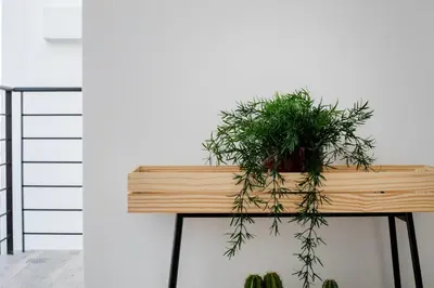 a wooden table with a potted plant on it at Sway - Chic 1-Bedroom Apartment & Balcony in Athens in Athens