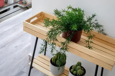 a wooden shelf with two potted plants on it at Sway - Chic 1-Bedroom Apartment & Balcony in Athens in Athens