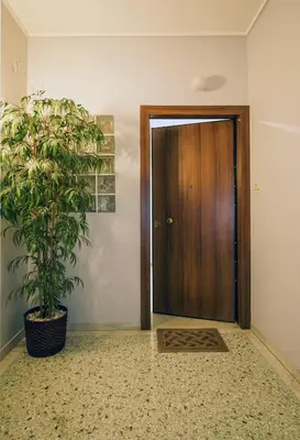 a hallway with a door and a potted plant at Cozy Nest, One-Bedroom Flat in Athens