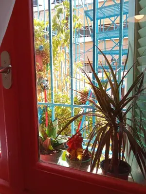 a window with potted plants sitting on a window sill at The Happy Town House , 300m from the metro station in Athens